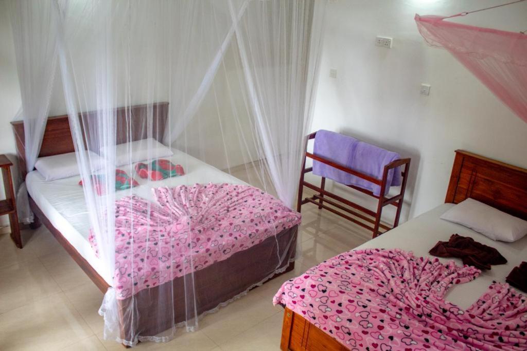 Amado Homestay إيلا المظهر الخارجي الصورة