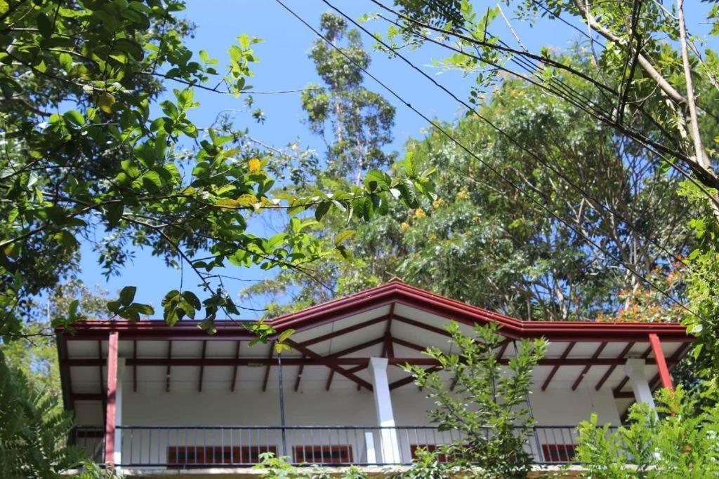 Amado Homestay إيلا المظهر الخارجي الصورة