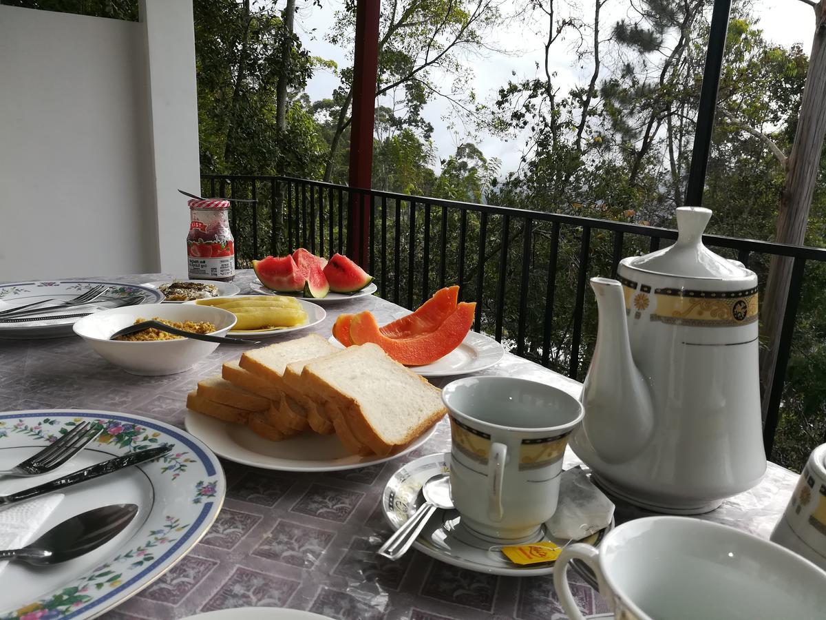 Amado Homestay إيلا المظهر الخارجي الصورة